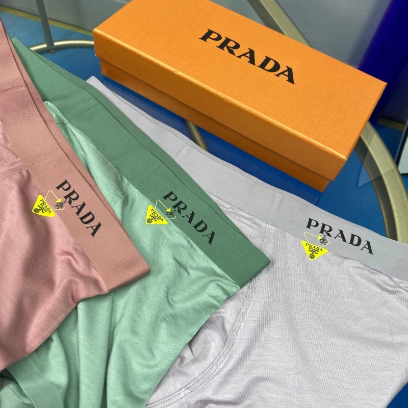 Prada Underwear ZipUp 276221
