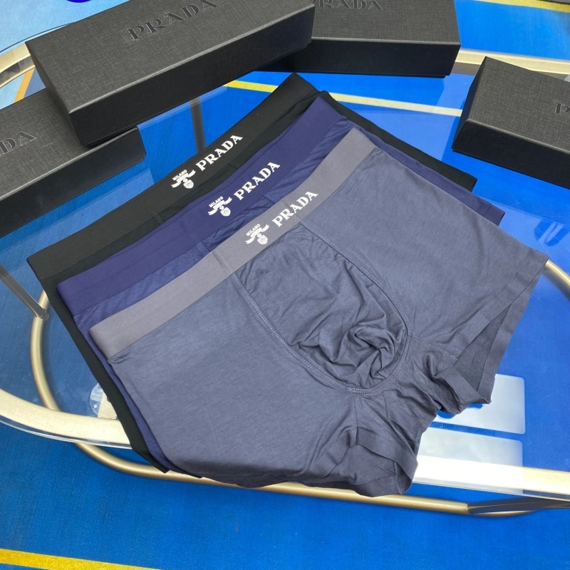 AllSeason Prada Underwear 276219