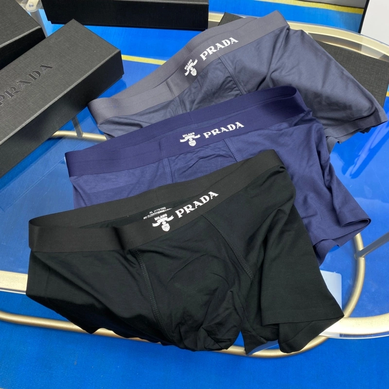AllSeason Prada Underwear 276219