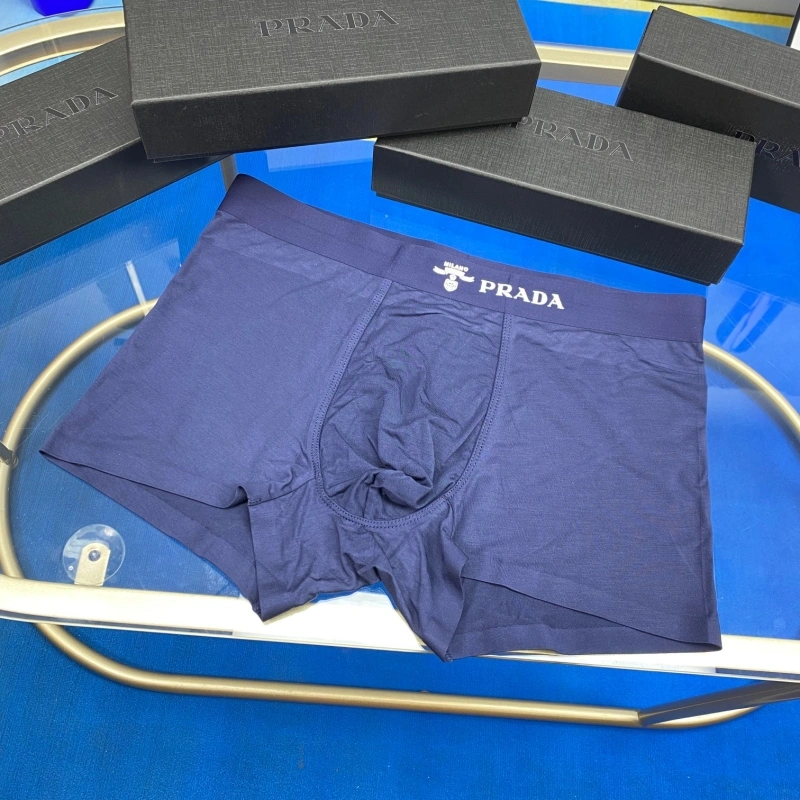 AllSeason Prada Underwear 276219