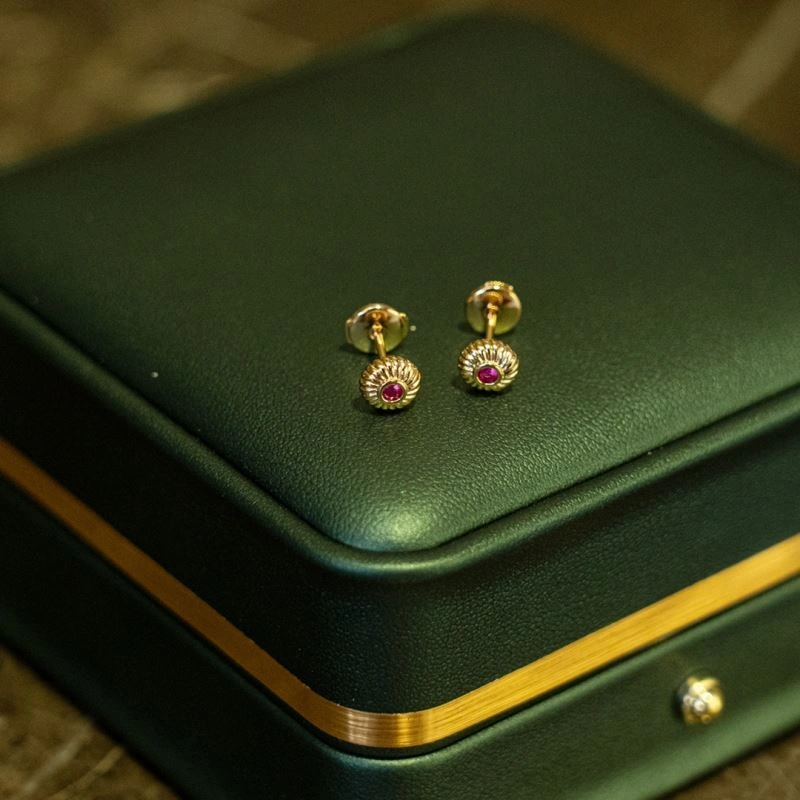 Qeelin Earrings Chic 213846