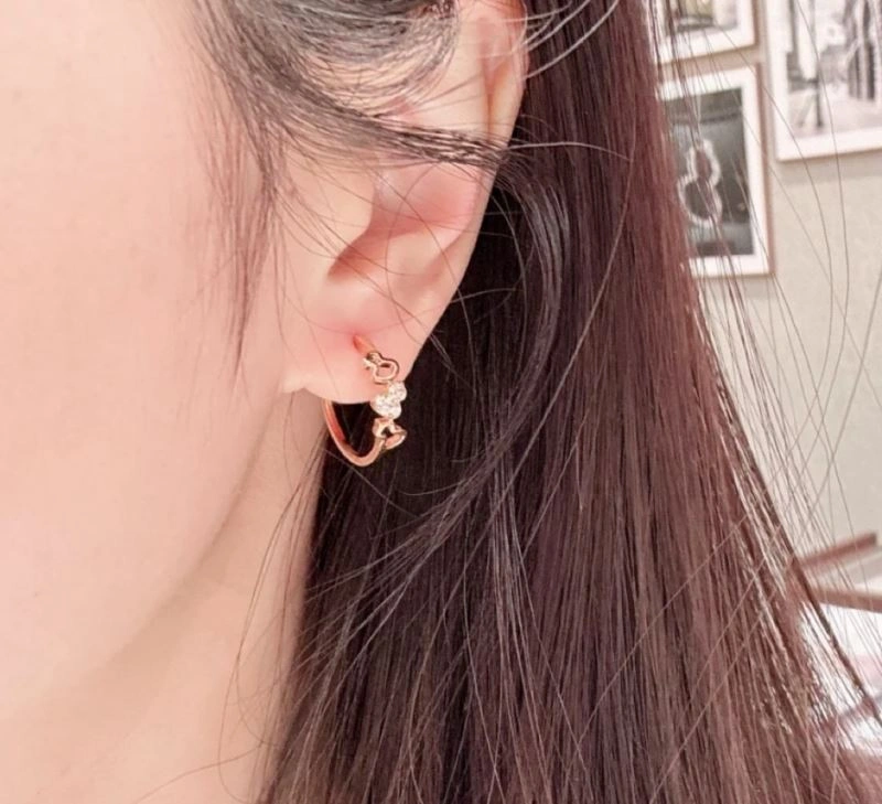 Popular Qeelin Earrings 211713