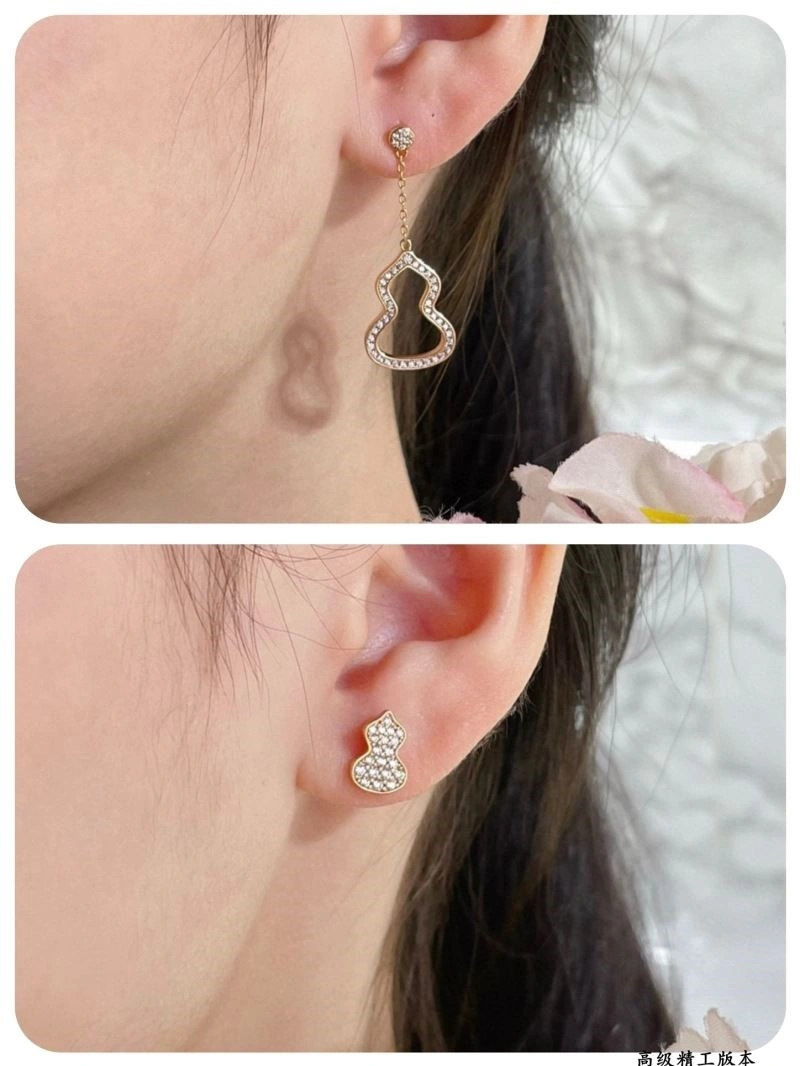 Qeelin Earrings Versatile 210408