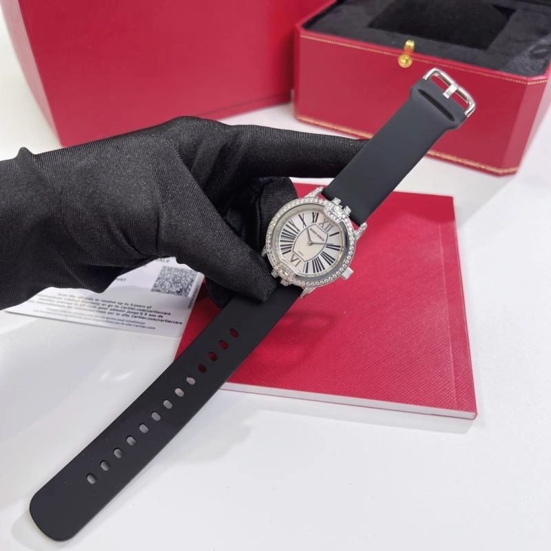 HighPerformance ROGER DUBUIS Watches 199063