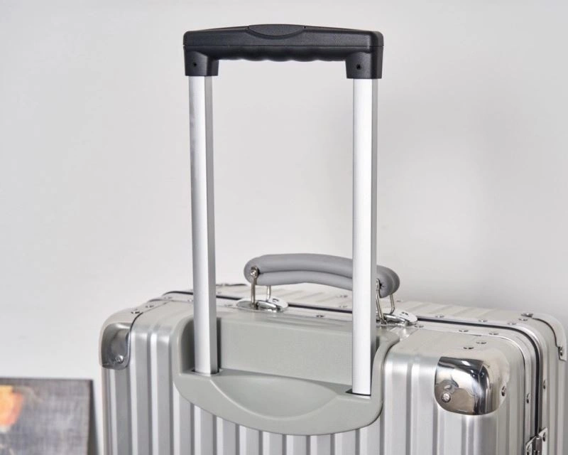 SmoothTexture Rimowa Suitcase 69452
