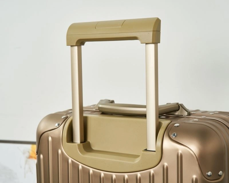 Minimalist Rimowa Suitcase 69376