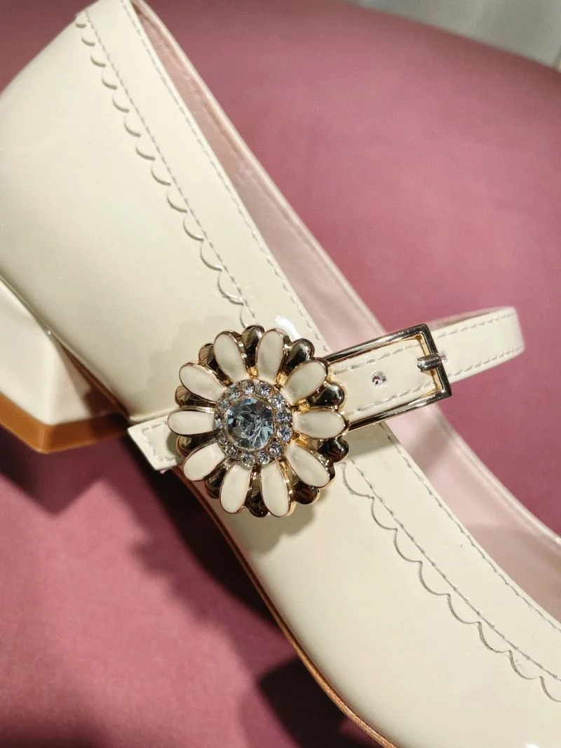 Roger Vivier Shoes NewStyle 11457