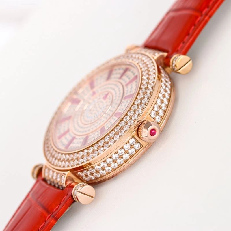 SWAROVSKI Watches GoAnywhere 202960