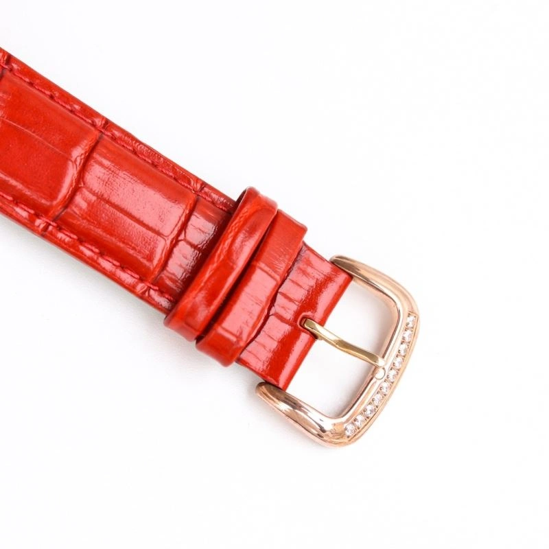 SWAROVSKI Watches GoAnywhere 202960
