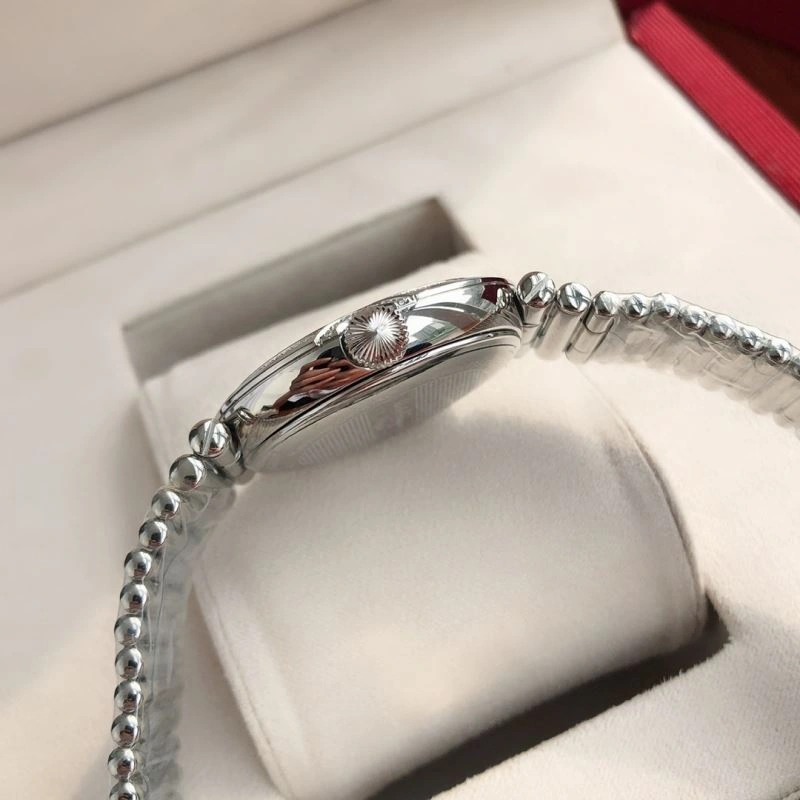 Flexible SWAROVSKI Watches 202896