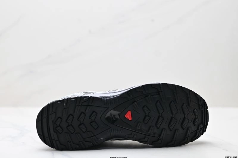 Salomon Shoes EasyMatch 2910