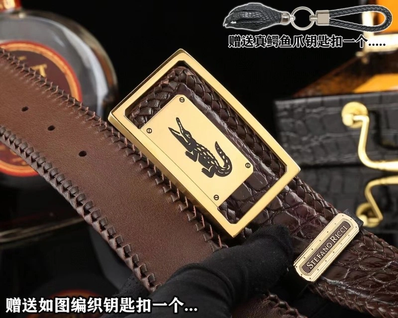 FreshLook Stefano Ricci Belts 303667