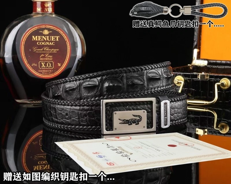 FreshLook Stefano Ricci Belts 303667