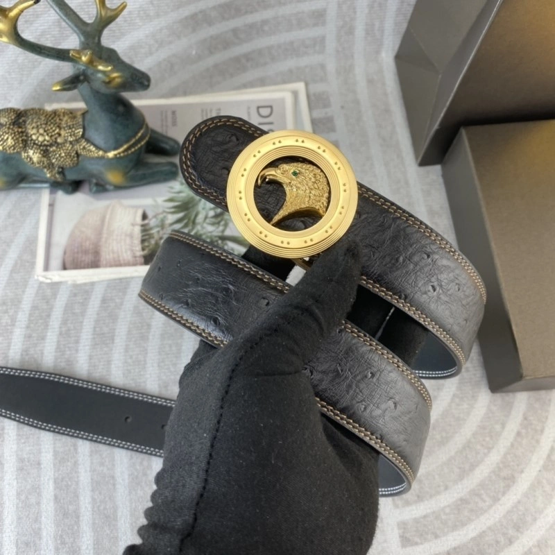 FreshLook Stefano Ricci Belts 303669