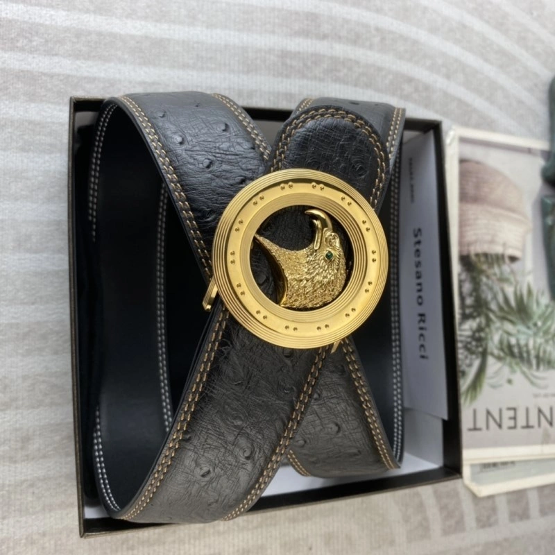 FreshLook Stefano Ricci Belts 303669