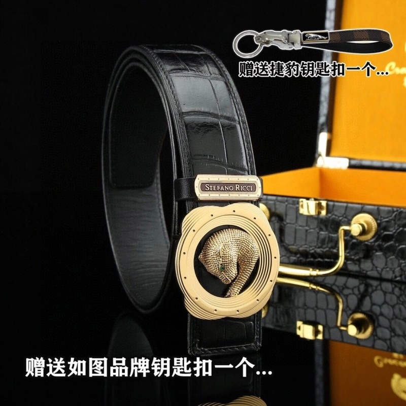 DailyWear Stefano Ricci Belts 303638