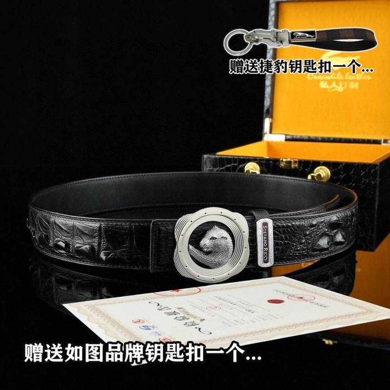 DailyWear Stefano Ricci Belts 303638