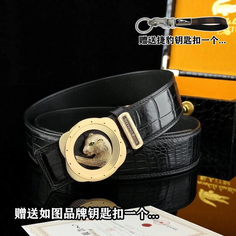 DailyWear Stefano Ricci Belts 303638
