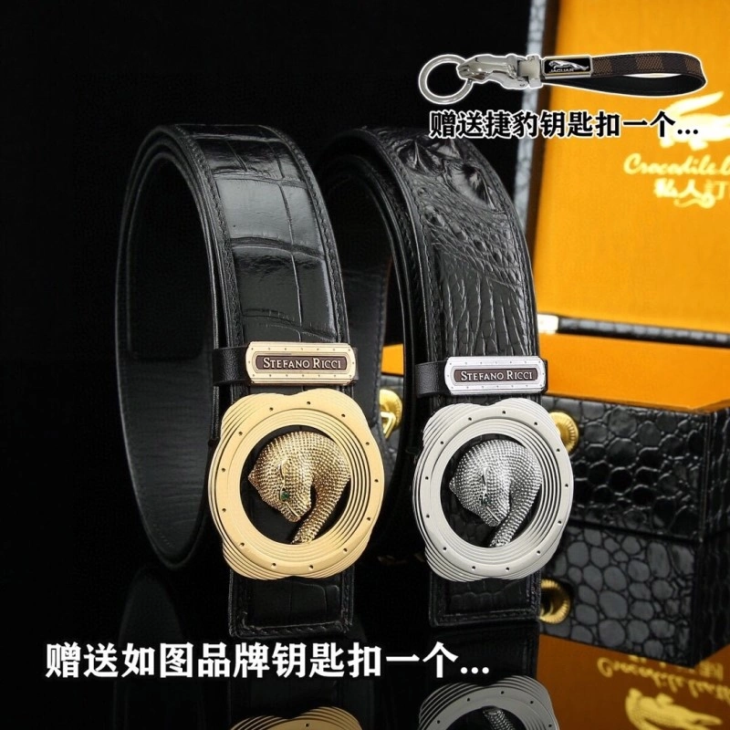 DailyWear Stefano Ricci Belts 303638