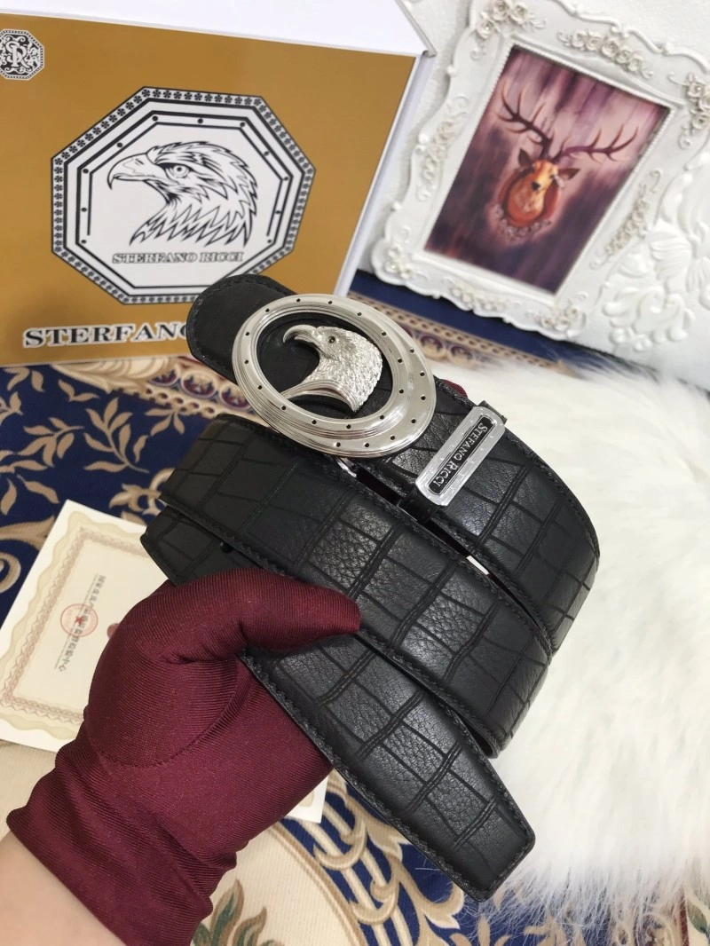 DailyWear Stefano Ricci Belts 303456