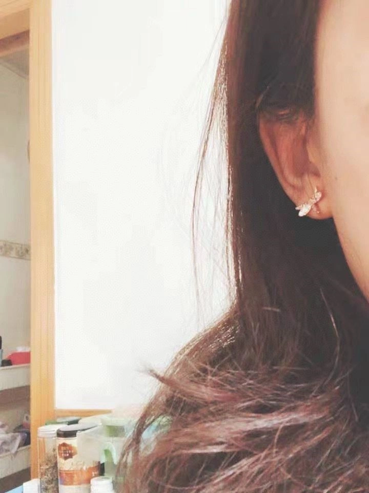 Minimalist Swarovski Earrings 252051