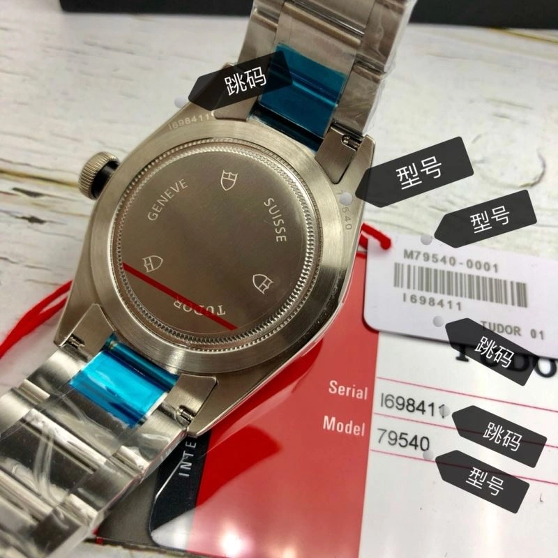 StreetReady TUDOR Watches 204213