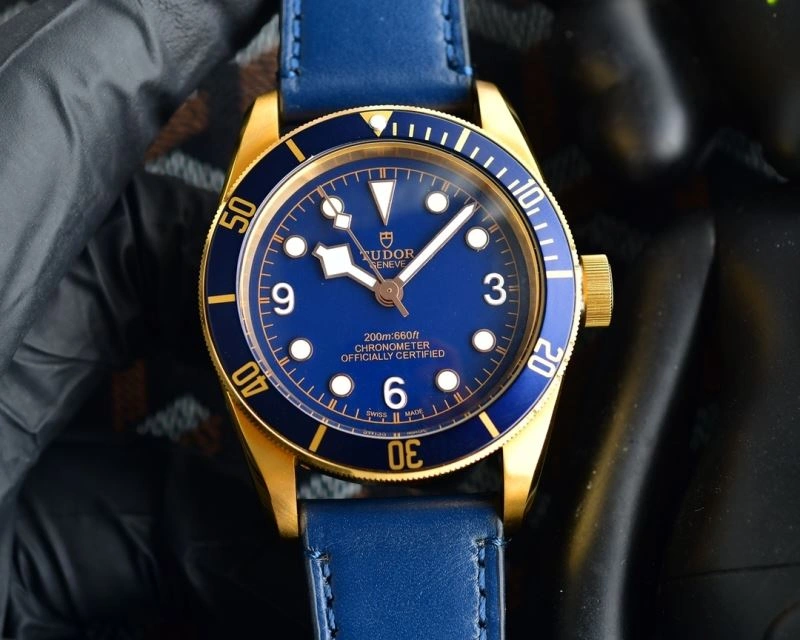 TUDOR Watches GoodFit 204208