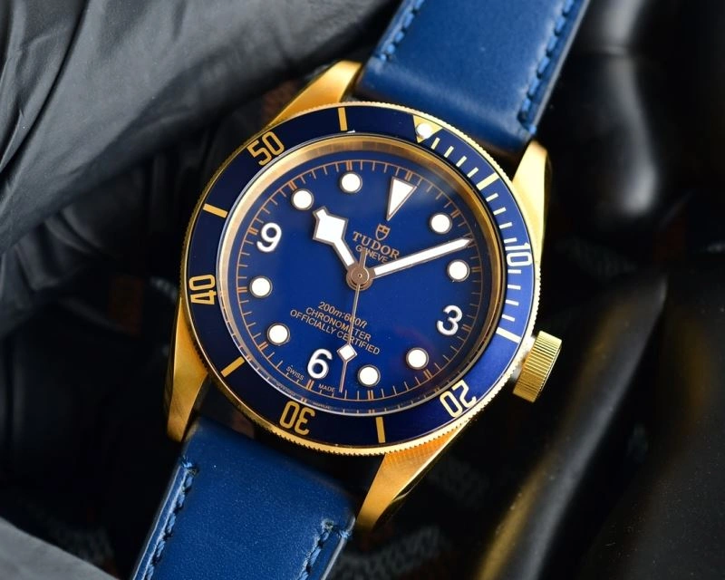 TUDOR Watches GoodFit 204208