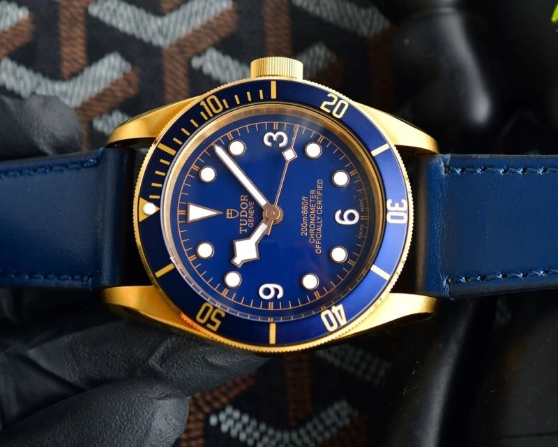 TUDOR Watches GoodFit 204208