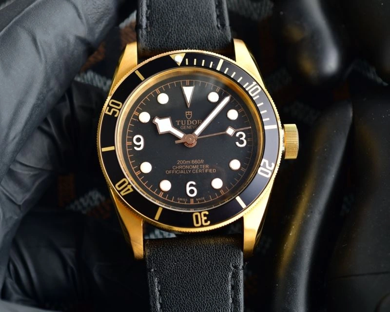 TUDOR Watches GoodFit 204208