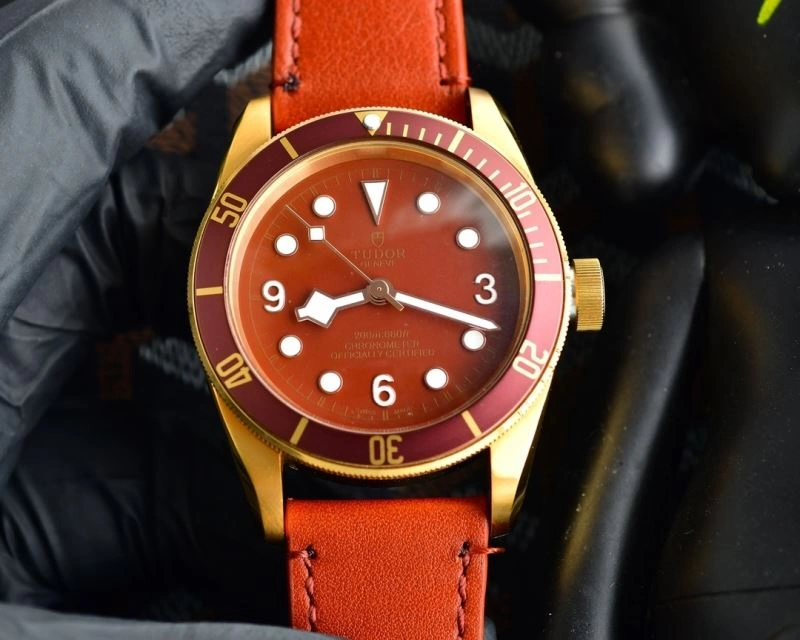 TUDOR Watches GoodFit 204208
