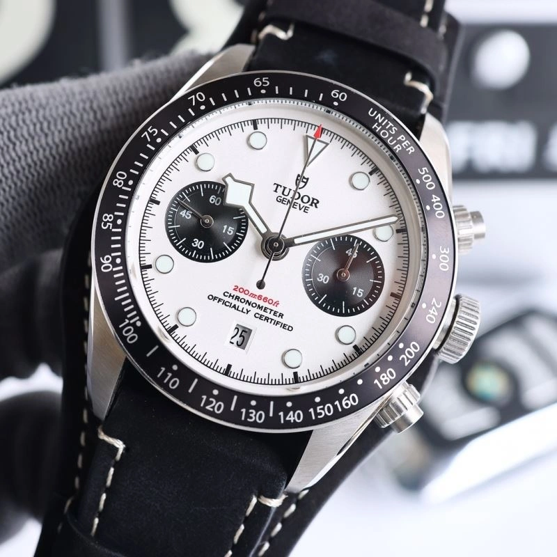 TUDOR Watches Sophisticated 204210