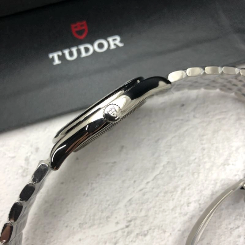 Casual TUDOR Watches 204200