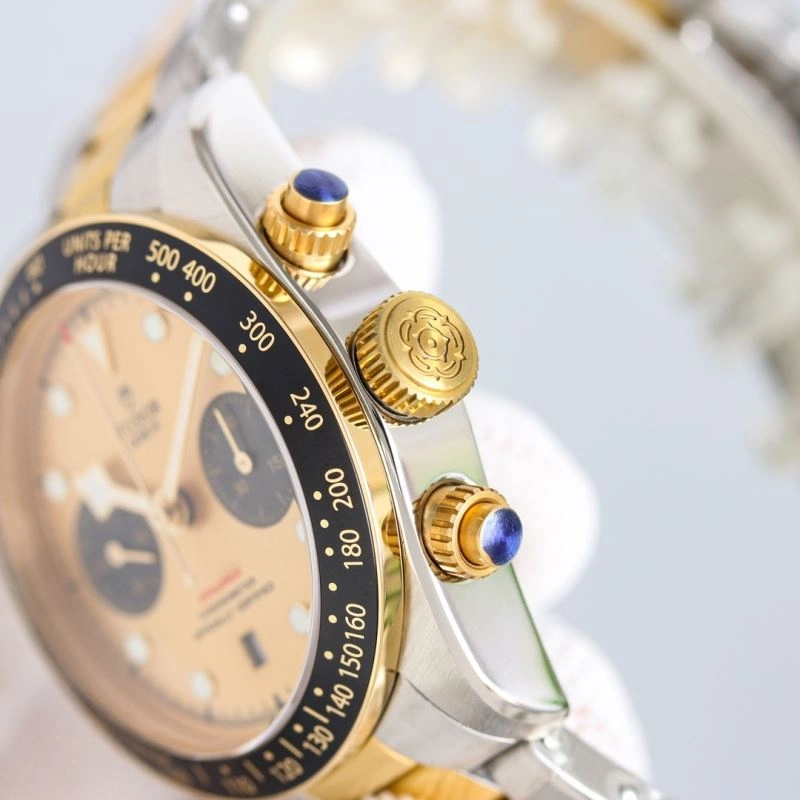 Vibrant TUDOR Watches 204203