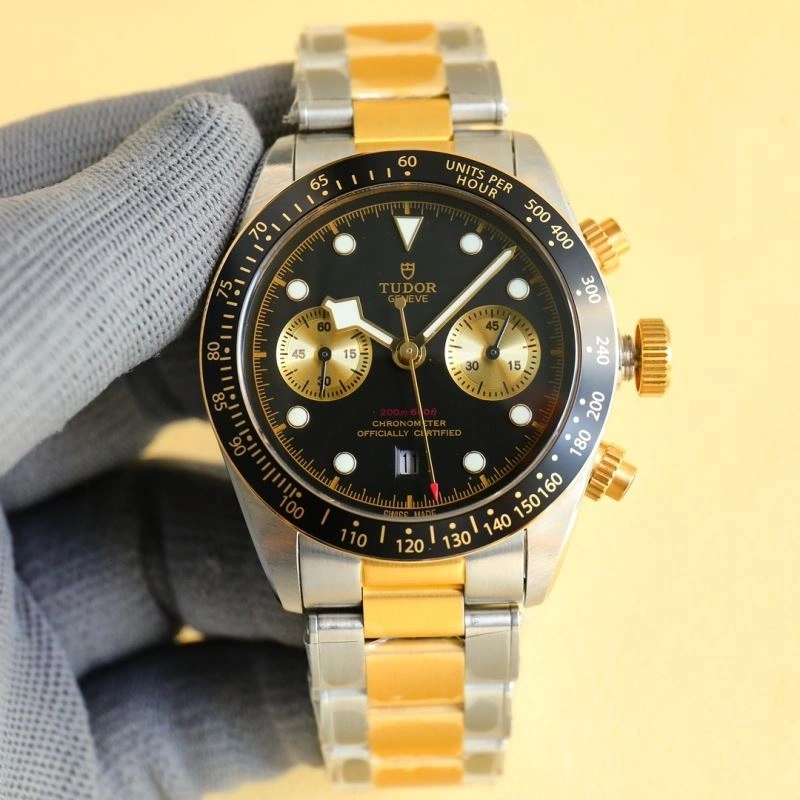 Stylish TUDOR Watches 204173