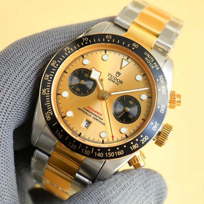 Stylish TUDOR Watches 204173