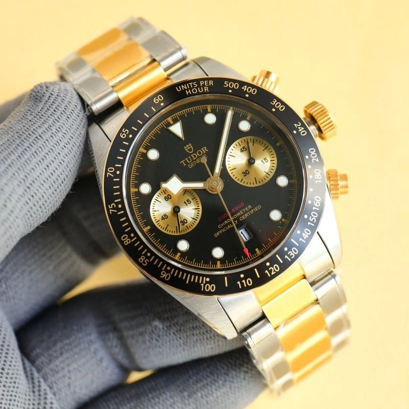 Stylish TUDOR Watches 204173