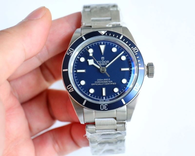 Resilient TUDOR Watches 204170