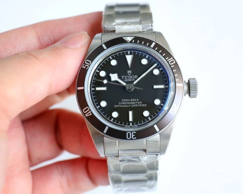 Resilient TUDOR Watches 204170