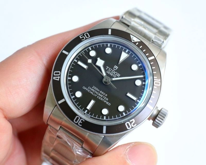 Resilient TUDOR Watches 204170