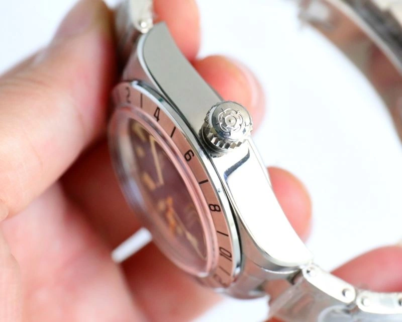 Resilient TUDOR Watches 204170