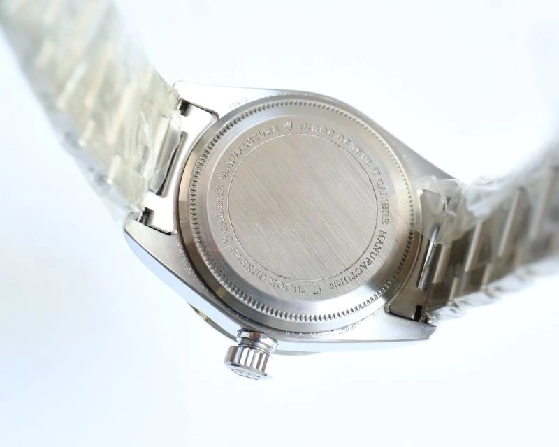 Resilient TUDOR Watches 204170