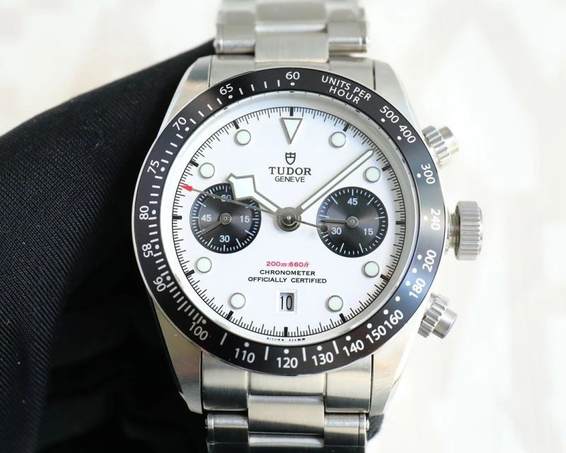 WrinkleFree TUDOR Watches 204160