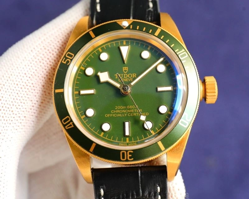 TUDOR Watches Casual 204165