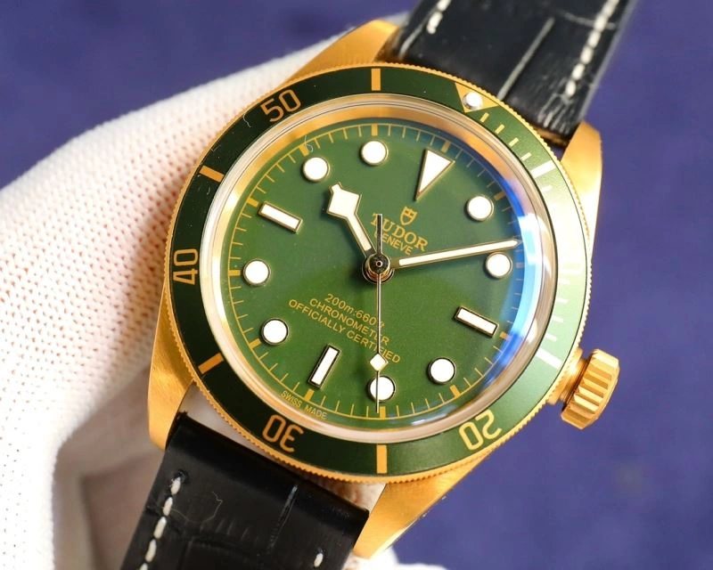 TUDOR Watches Casual 204165