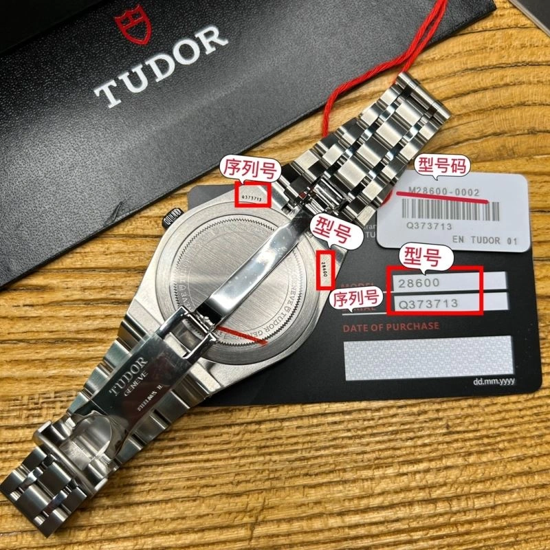 TUDOR Watches FreshLook 204101