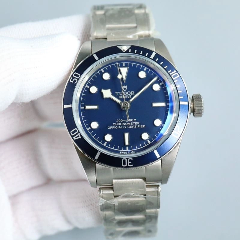 Lightweight TUDOR Watches 204122