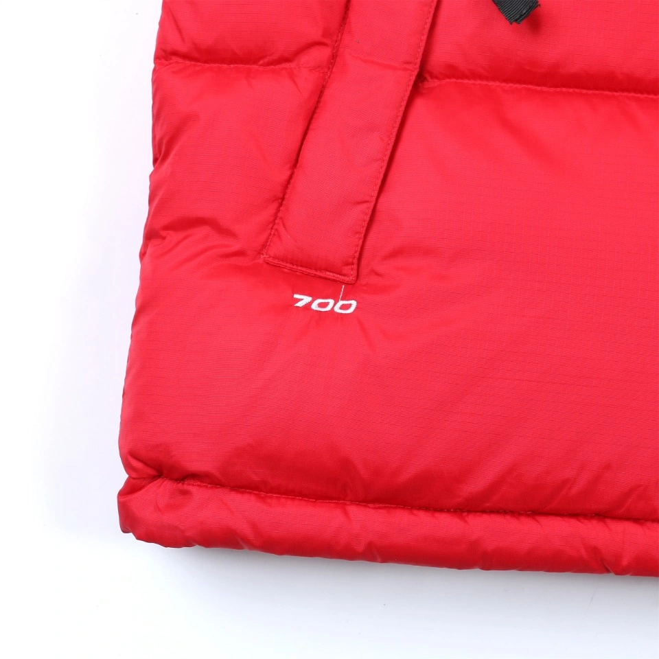 FashionForward The North Face Down Jackets 173275