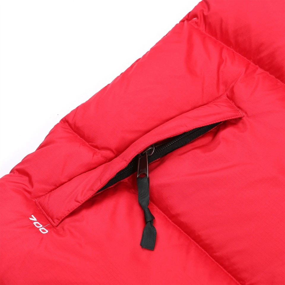 FashionForward The North Face Down Jackets 173275