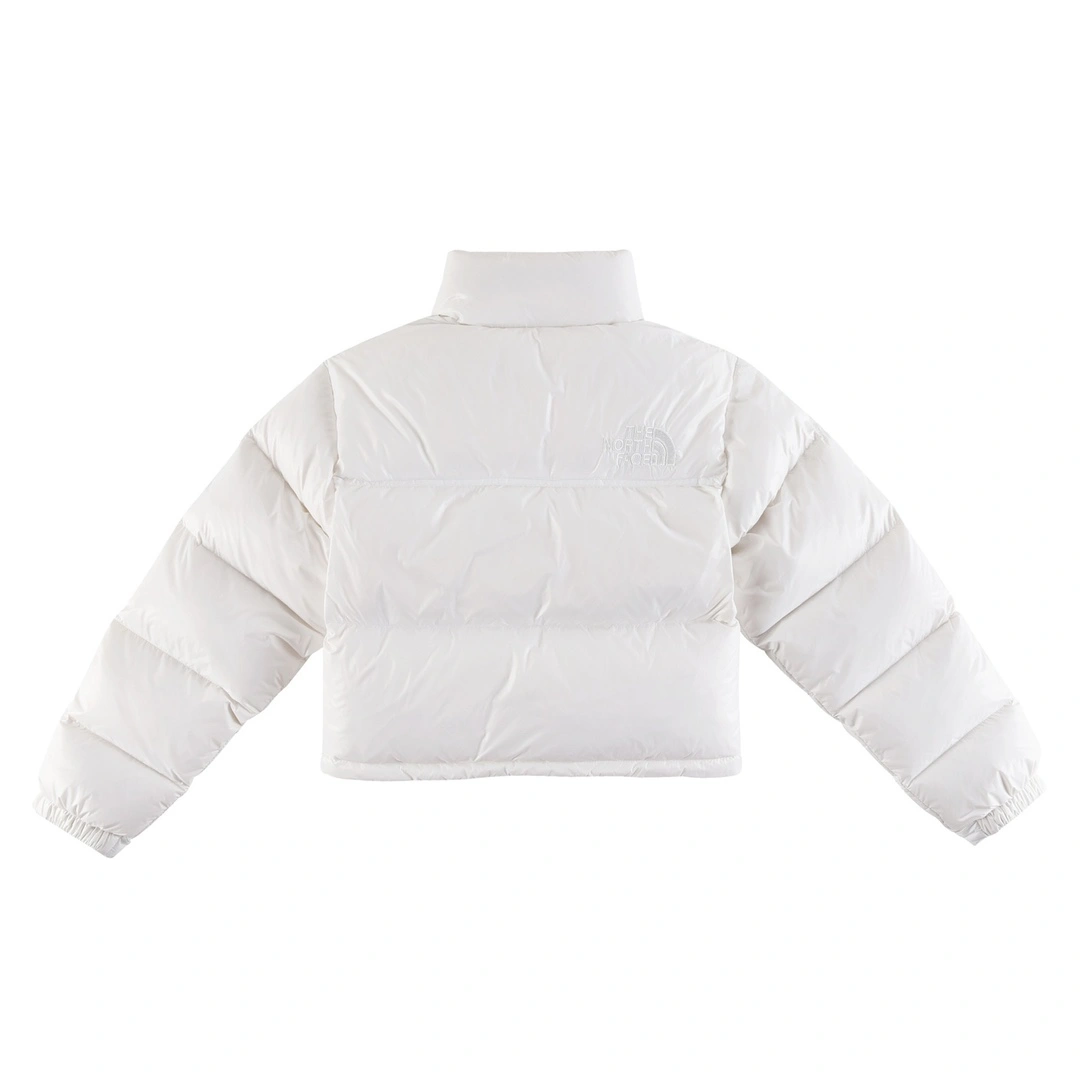 ModernLook The North Face Down Jackets 173204